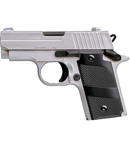 Amazon | クラウンモデル (Crown Model) P238 SILVER Micro-Compact 10